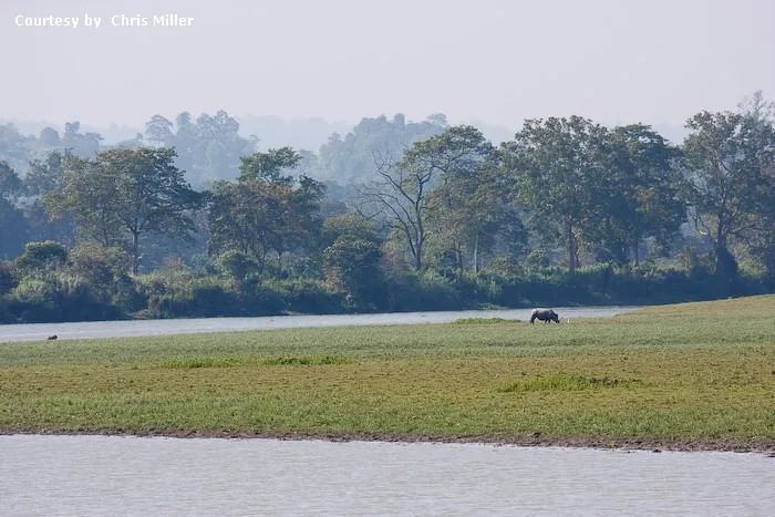 Kaziranga National Park